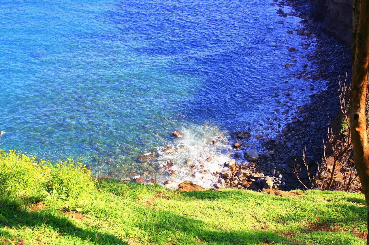 Hawaii Island Retreat At Ahu Pohaku Ho'Omaluhia Villa Kapaau Екстериор снимка