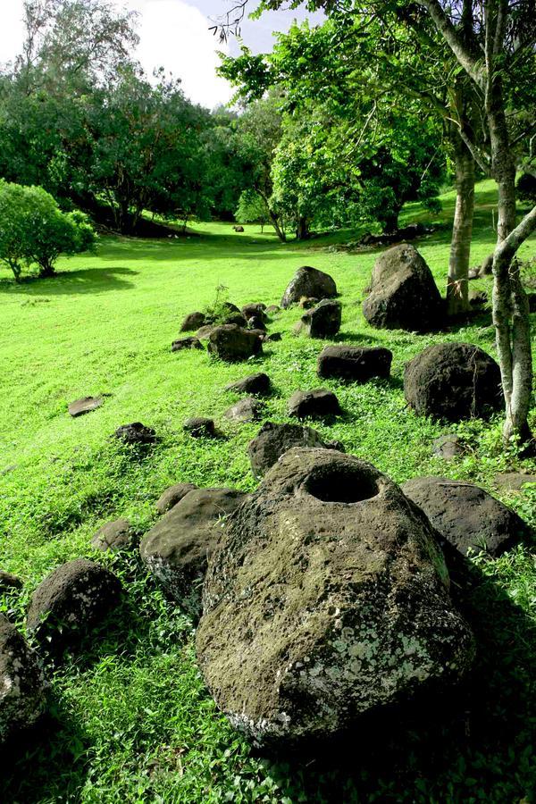 Hawaii Island Retreat At Ahu Pohaku Ho'Omaluhia Villa Kapaau Екстериор снимка