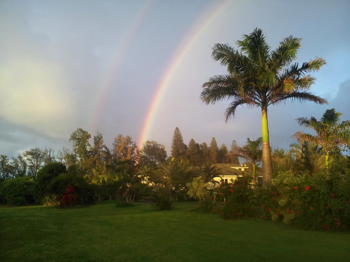 Hawaii Island Retreat At Ahu Pohaku Ho'Omaluhia Villa Kapaau Екстериор снимка