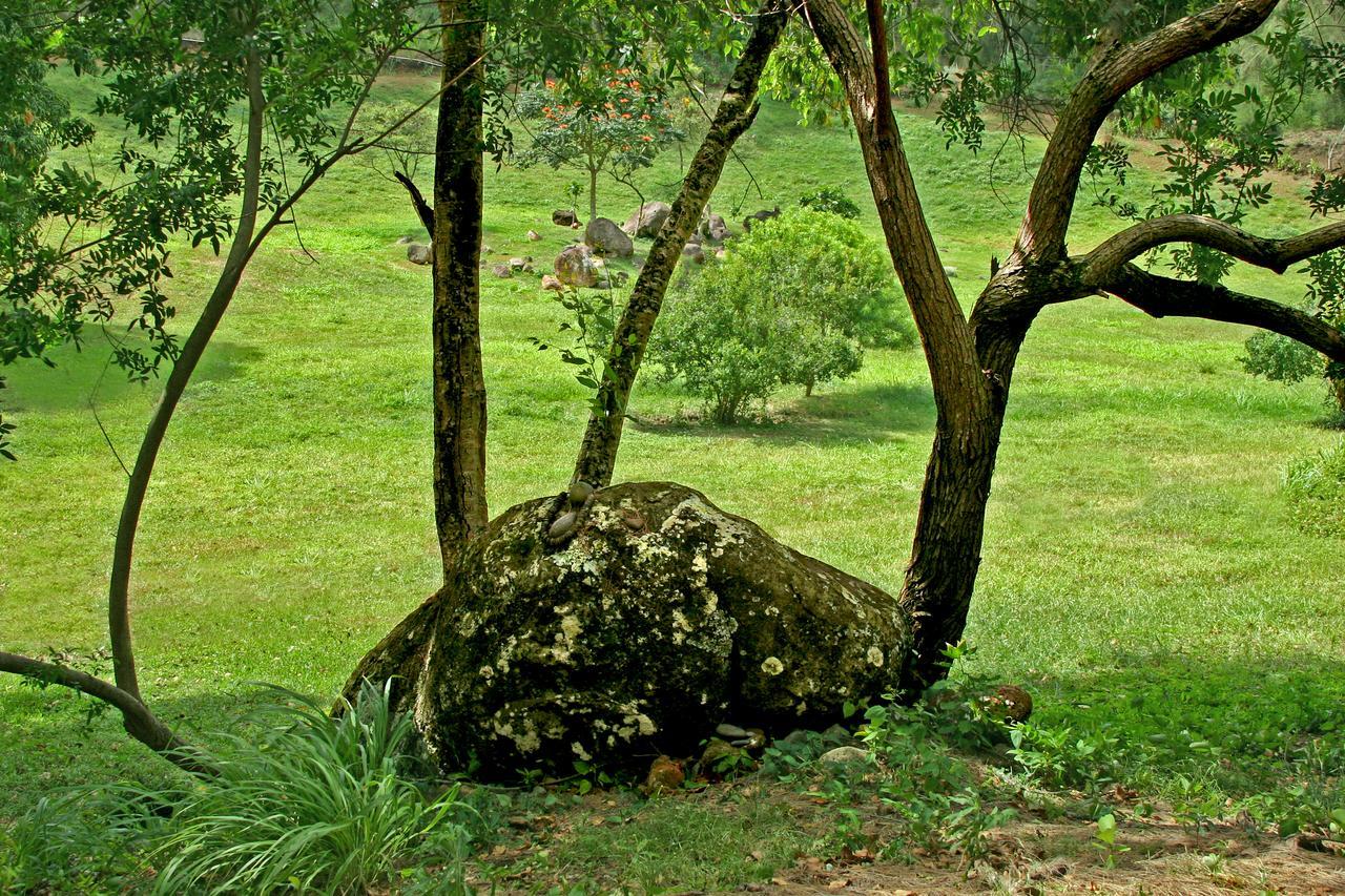 Hawaii Island Retreat At Ahu Pohaku Ho'Omaluhia Villa Kapaau Екстериор снимка