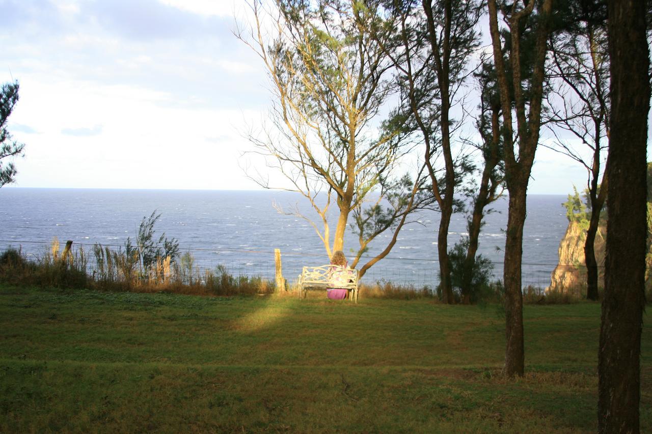 Hawaii Island Retreat At Ahu Pohaku Ho'Omaluhia Villa Kapaau Екстериор снимка