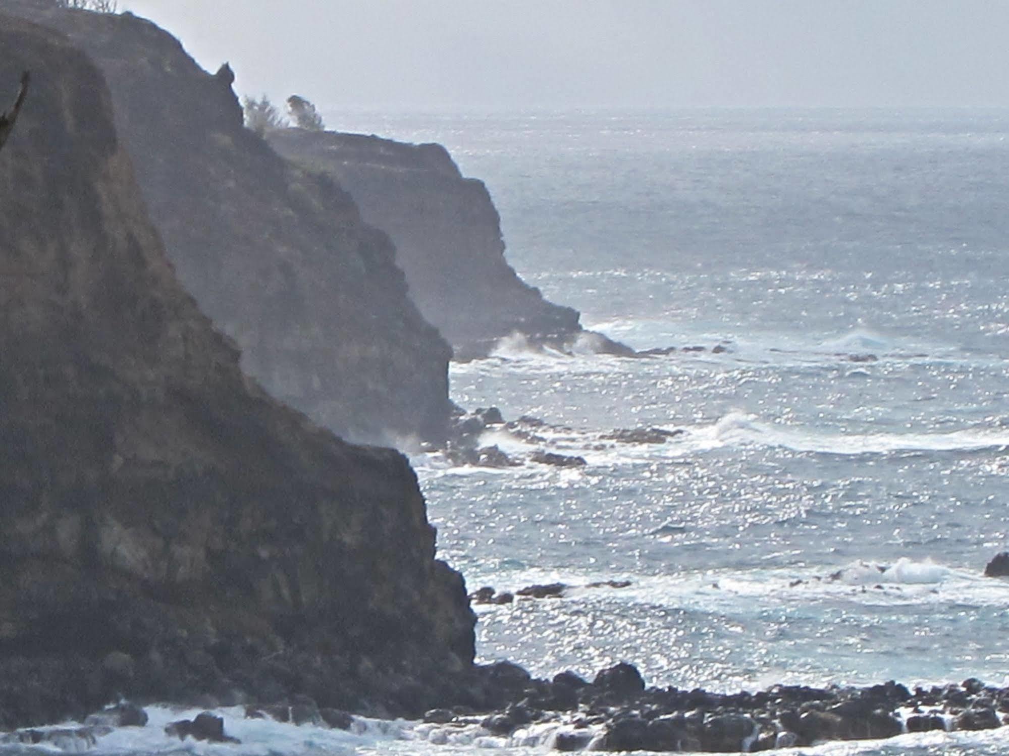 Hawaii Island Retreat At Ahu Pohaku Ho'Omaluhia Villa Kapaau Екстериор снимка